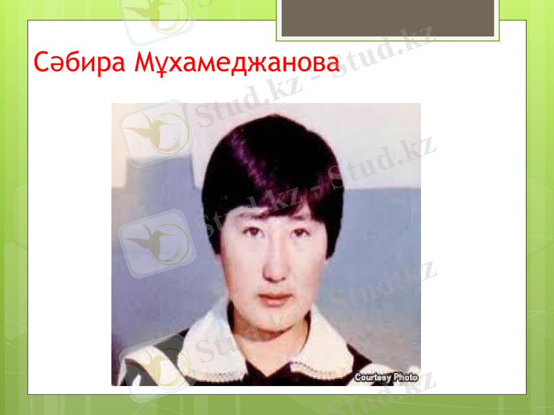 Slide 24