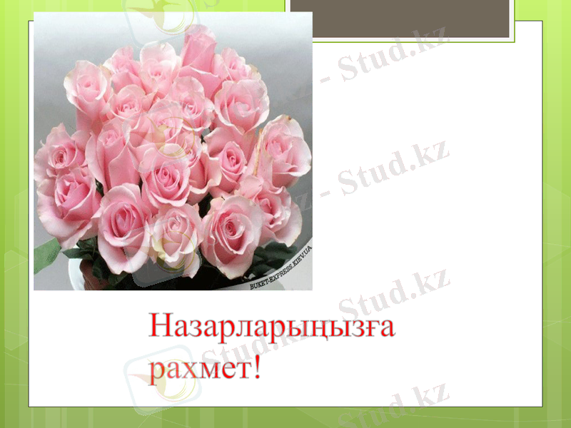 Slide 31