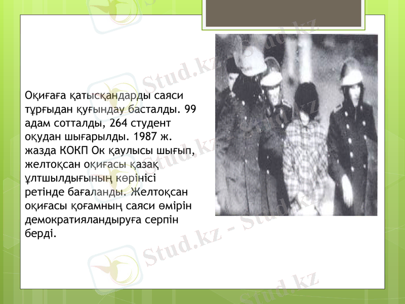 Slide 5
