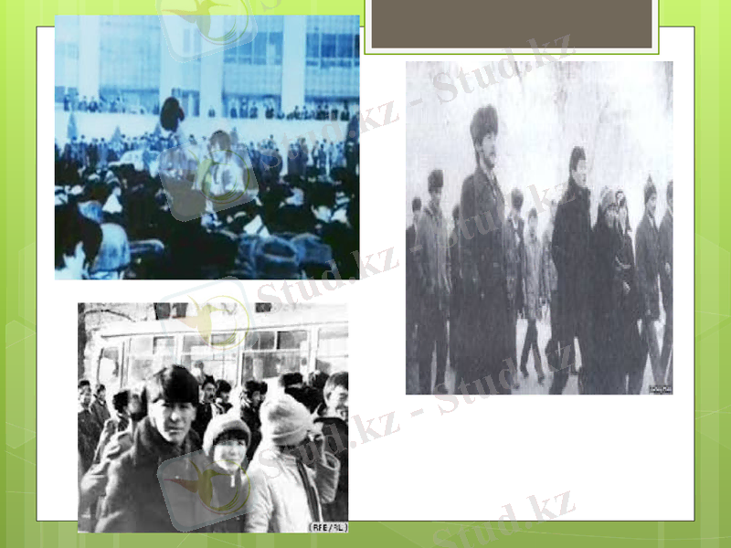 Slide 9
