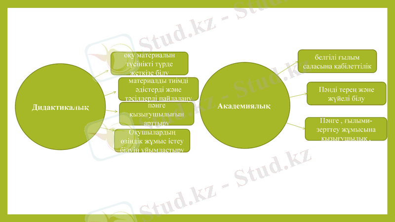 Slide 6