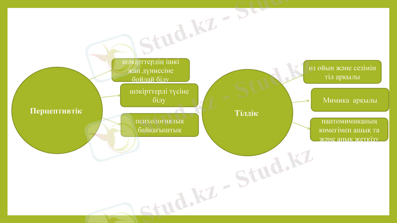 Slide 7