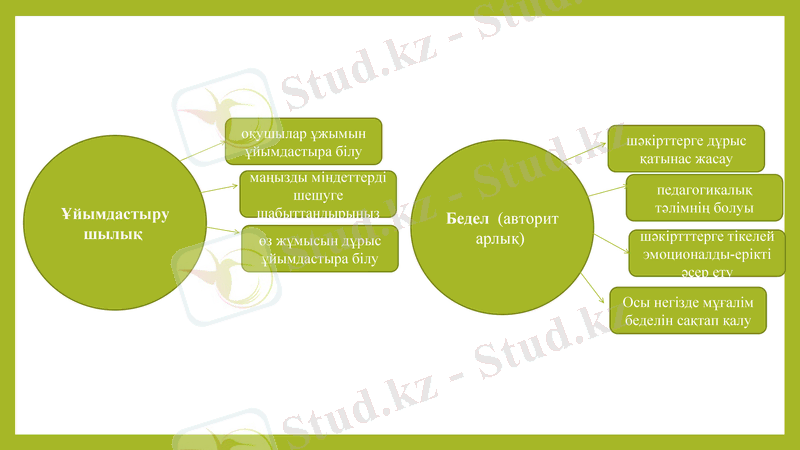 Slide 8