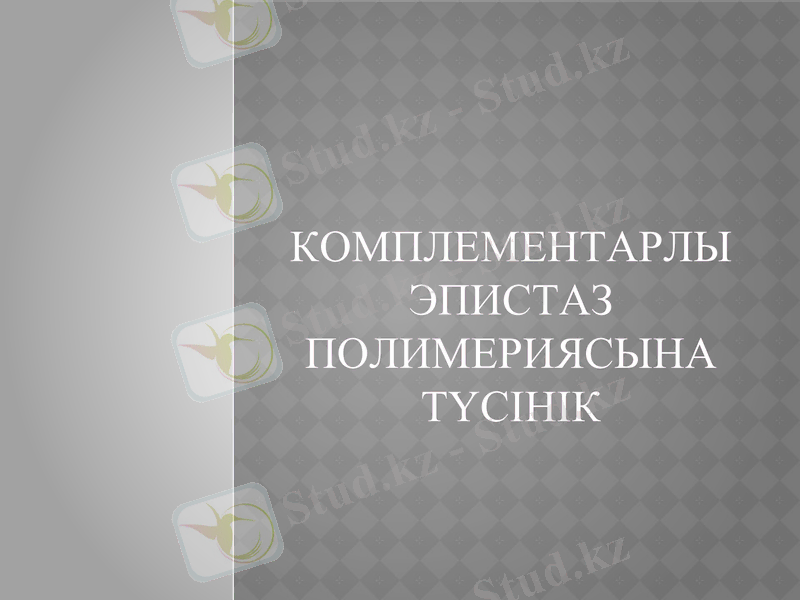 Slide 1
