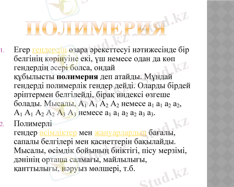 Slide 10