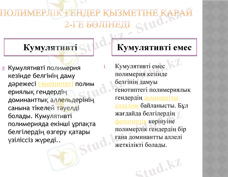 Slide 12