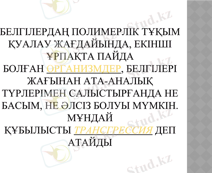 Slide 13