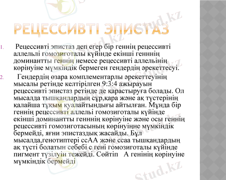 Slide 7