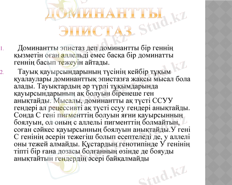 Slide 9
