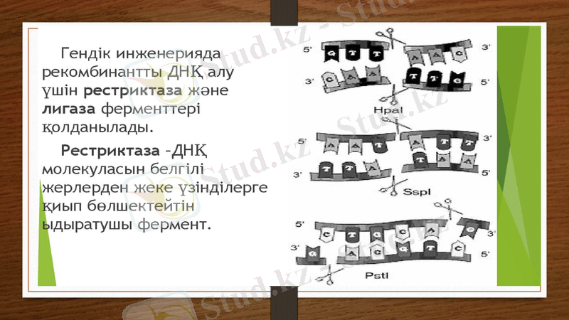 Slide 6