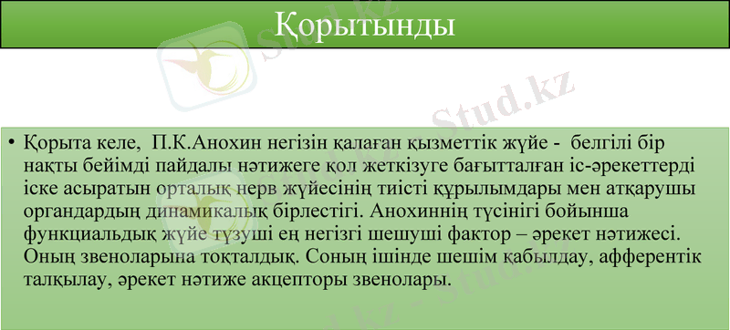 Slide 10
