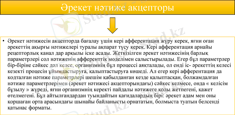 Slide 9