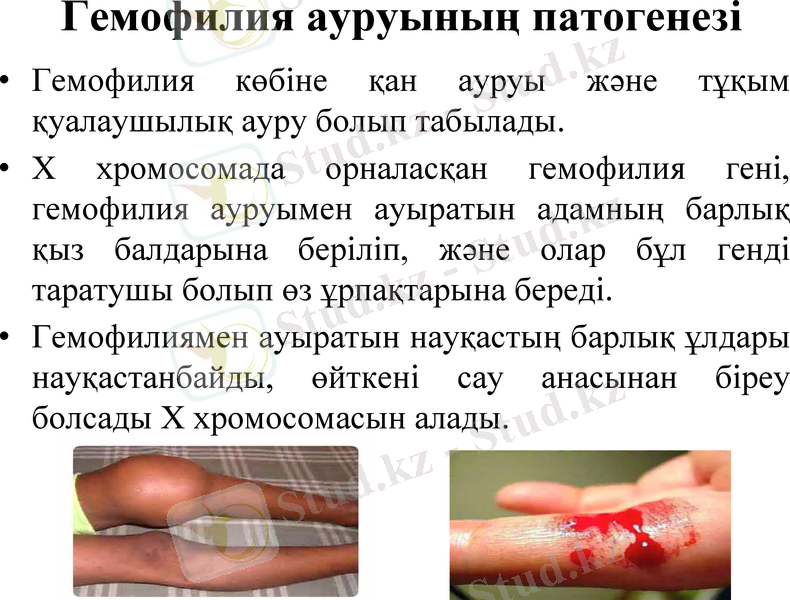 Slide 9