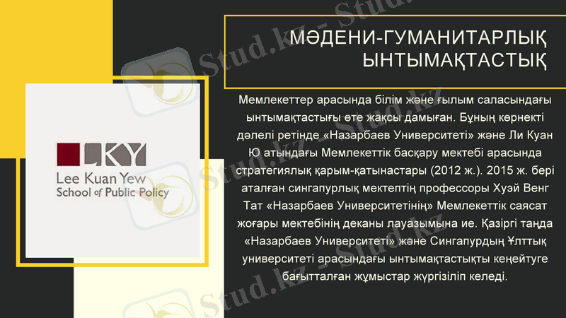 Slide 8