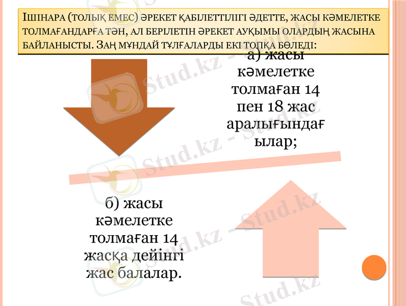 Slide 8