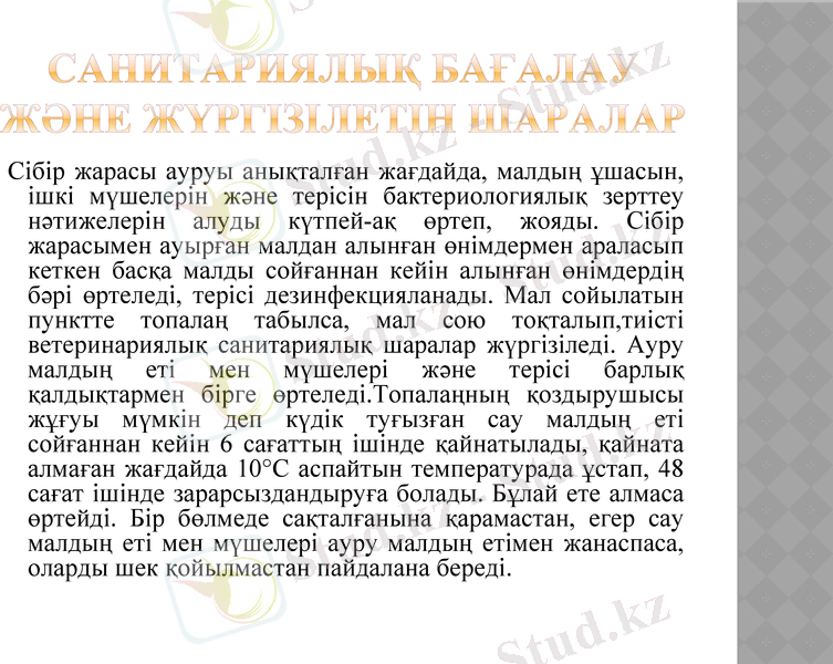 Slide 10