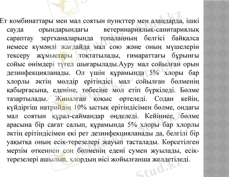 Slide 11