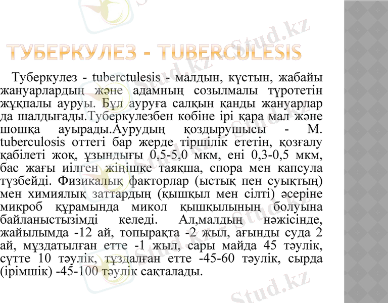 Slide 13
