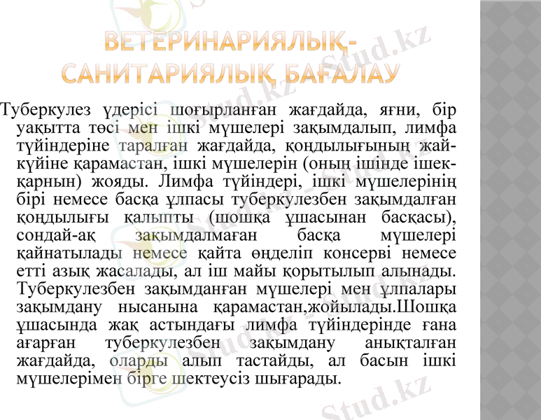 Slide 15