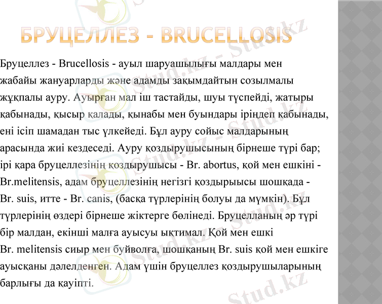 Slide 19