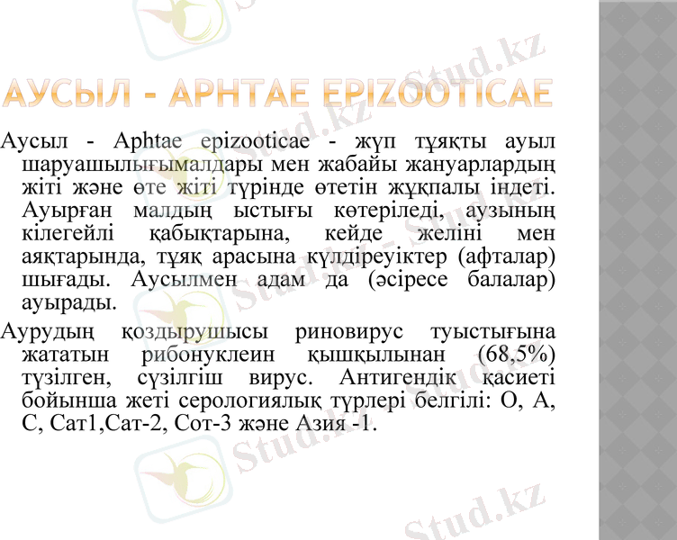 Slide 25