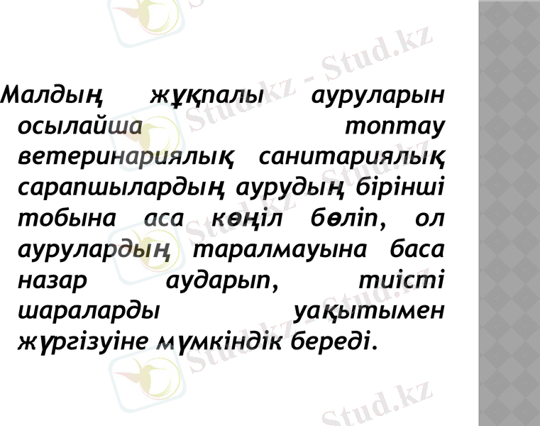 Slide 6