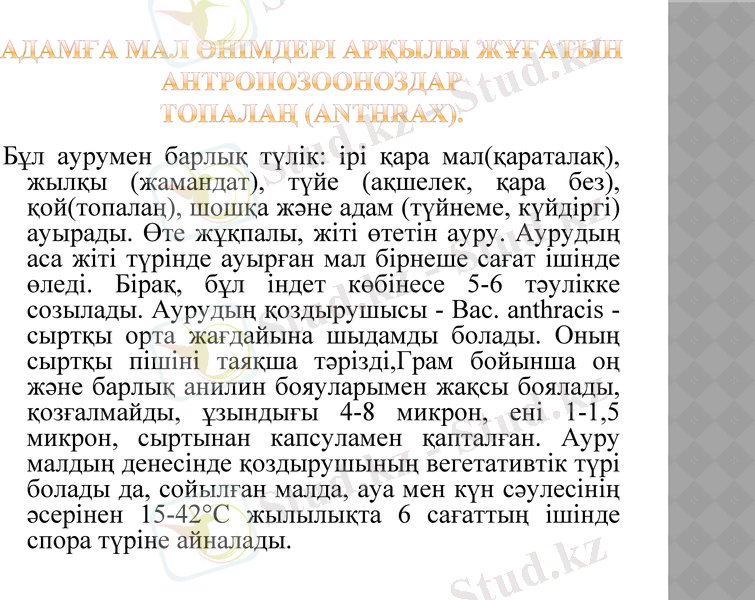 Slide 7