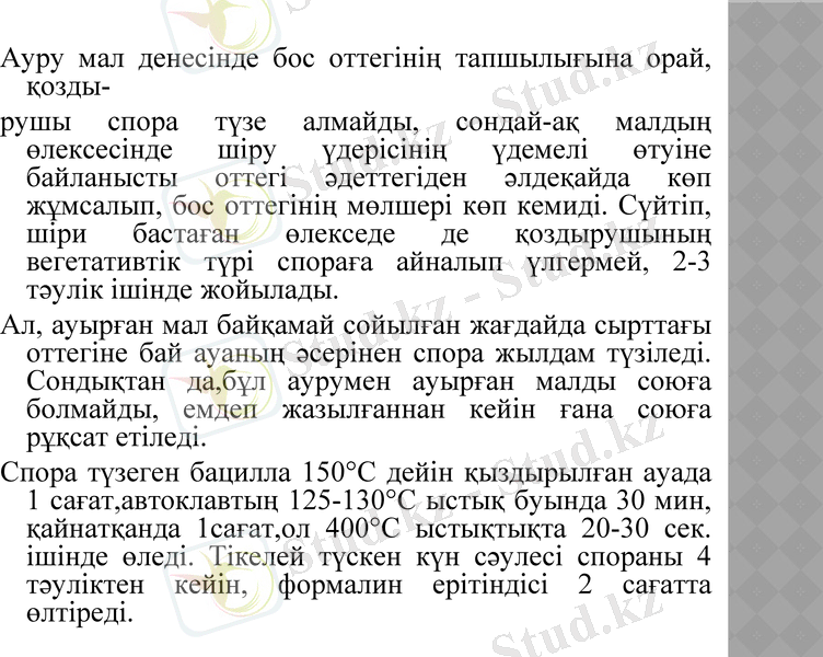 Slide 9