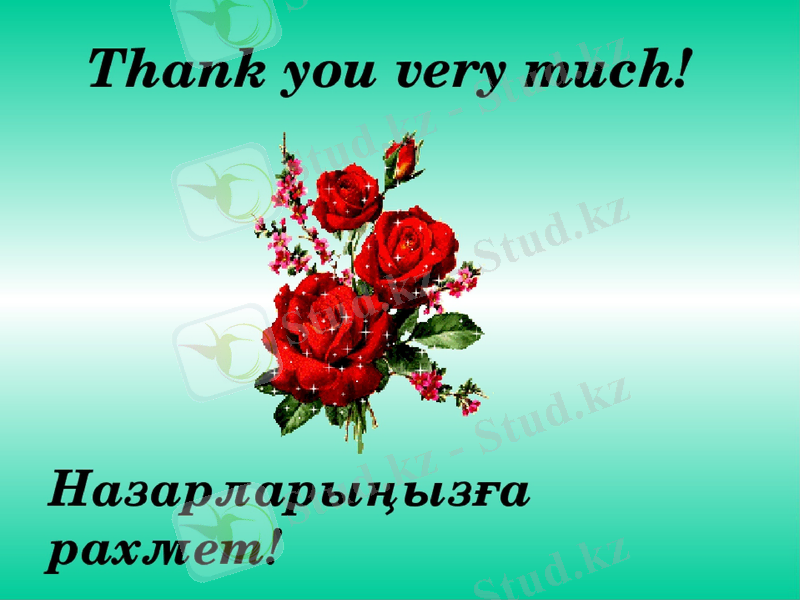 Slide 8
