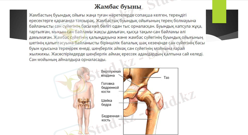 Slide 10