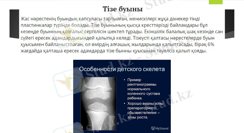 Slide 11
