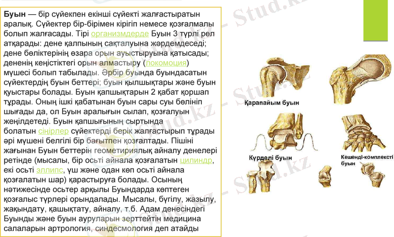 Slide 3