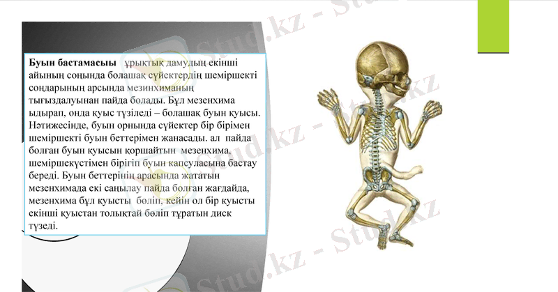 Slide 5