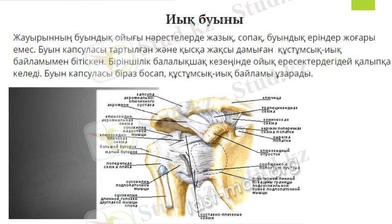 Slide 7