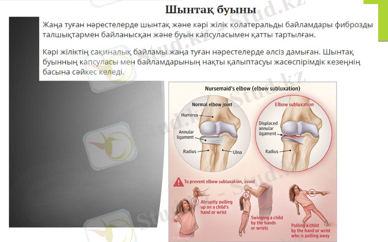 Slide 8