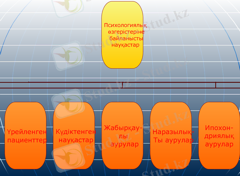 Slide 13