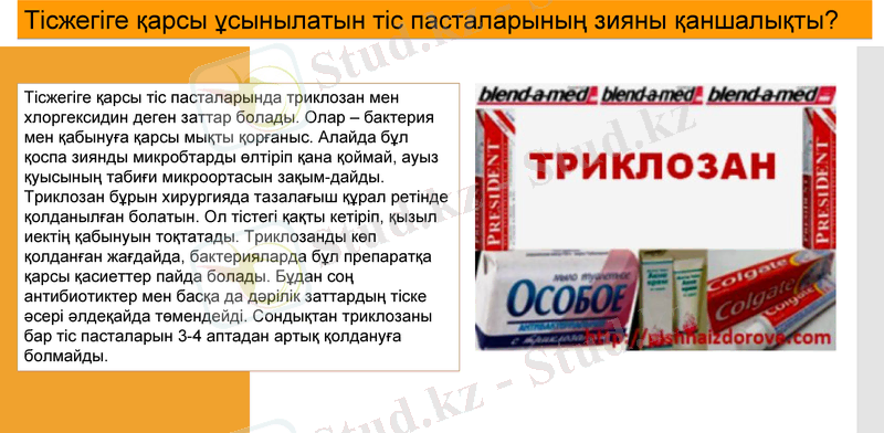 Slide 6