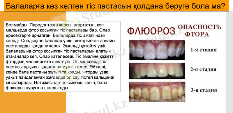 Slide 8