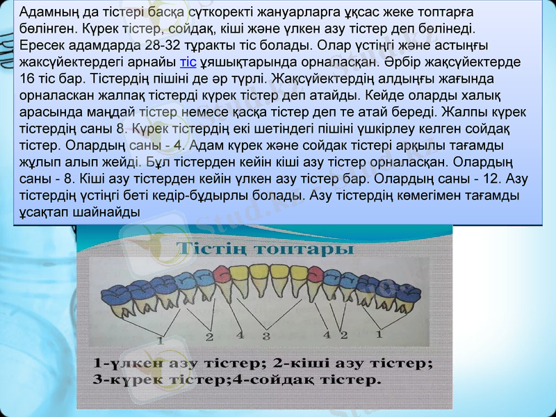 Slide 10