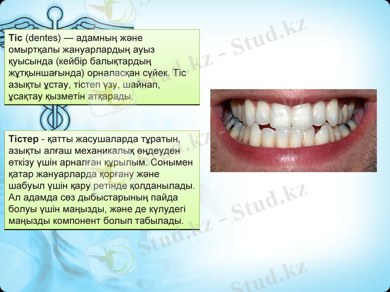 Slide 2