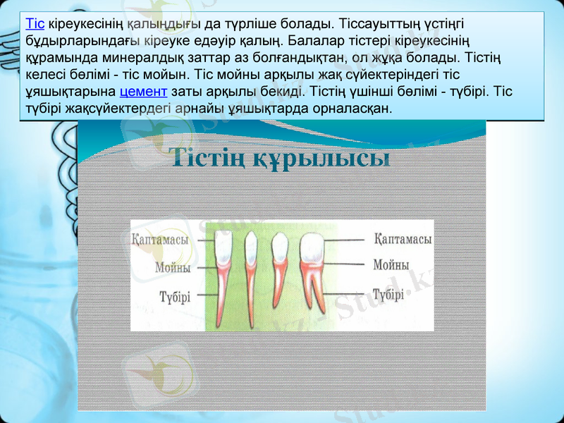 Slide 4