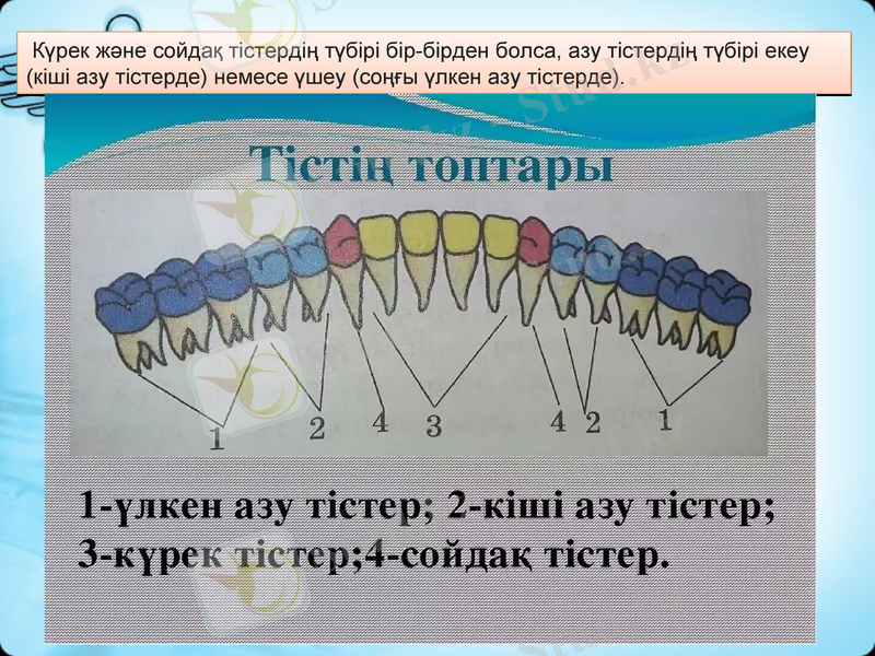 Slide 5
