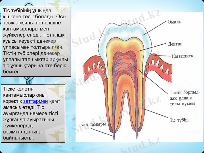 Slide 6