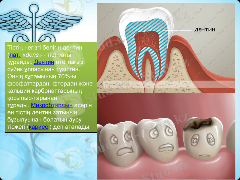 Slide 7