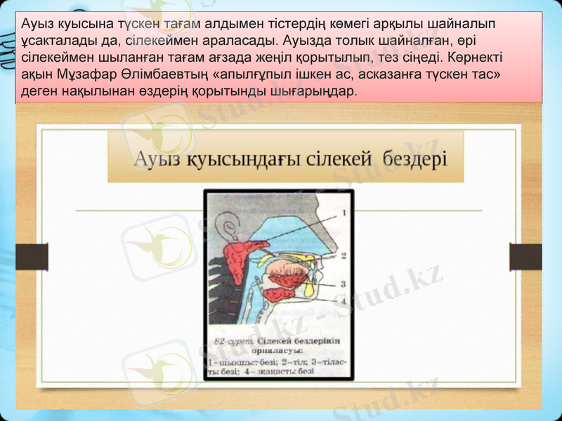 Slide 9