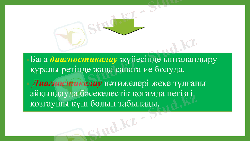 Slide 11