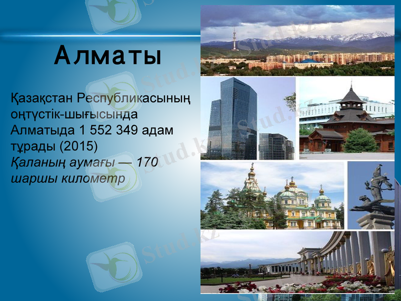 Slide 10