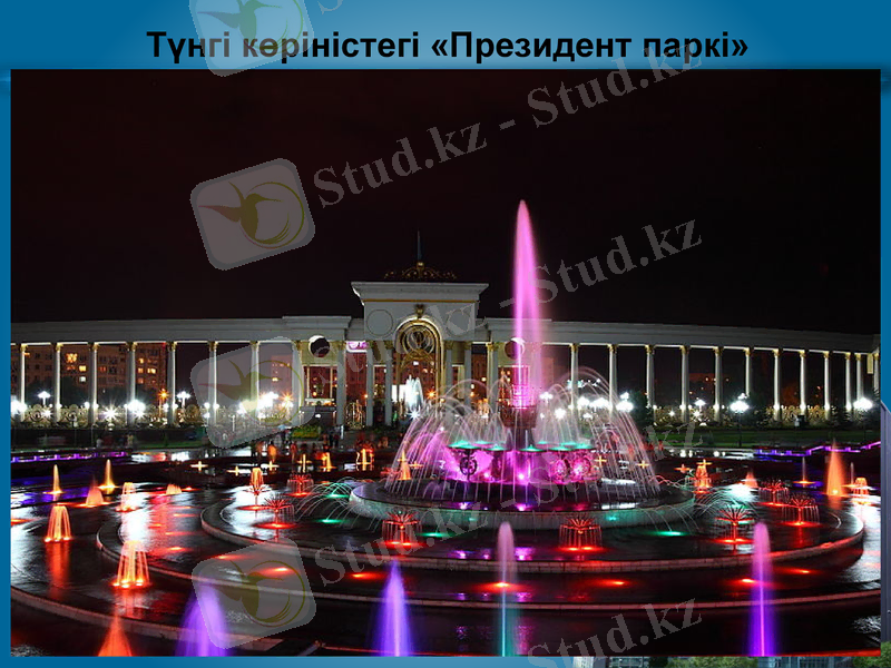 Slide 11