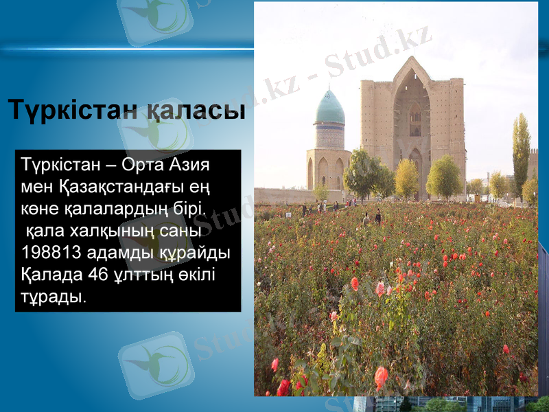 Slide 15