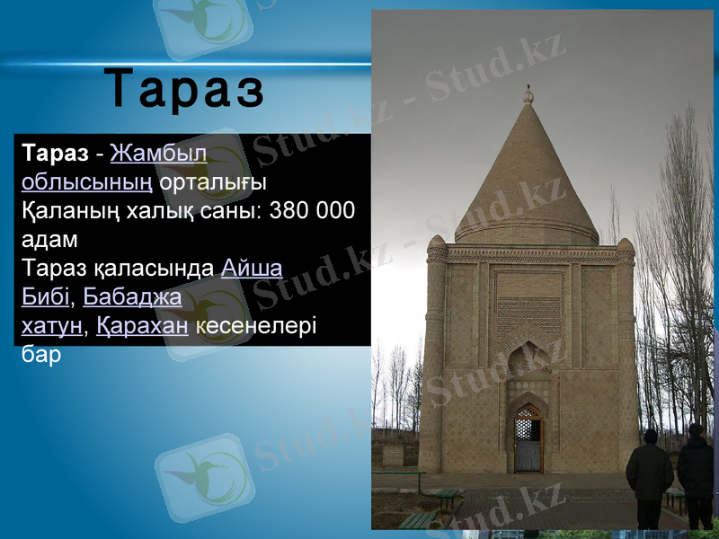 Slide 16
